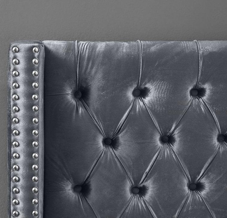 Aiden Grey Velvet Upholstered Bed