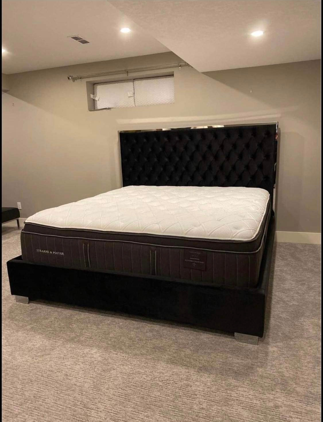 Lexi Velvet Upholstered Bed