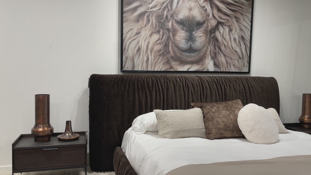 Shar Pei Storage Bed
