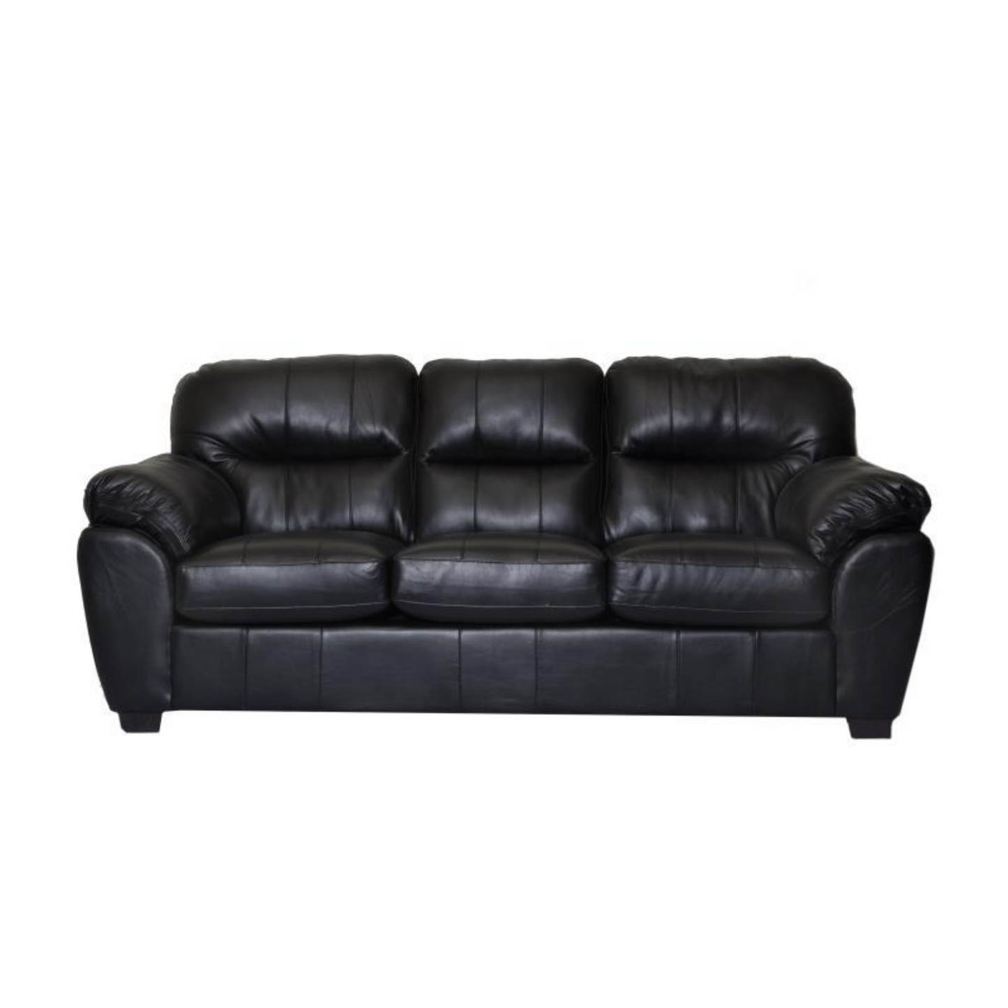 Collection 1601 Sofa Leather Gel in Jet Black