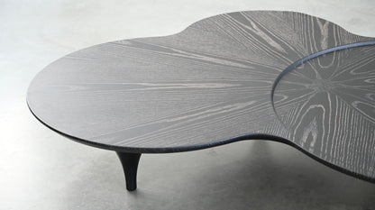 Coupe Coffee Table