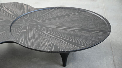 Coupe Coffee Table